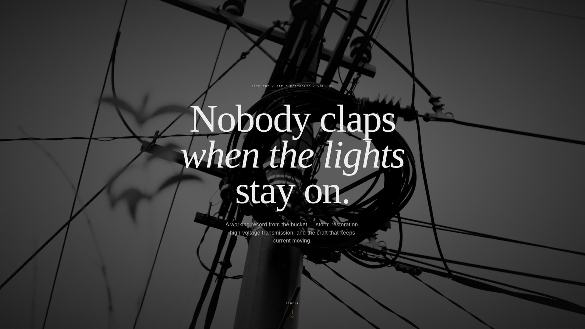 Lineworker (Power Line) Business Specialist Reviews Website Template