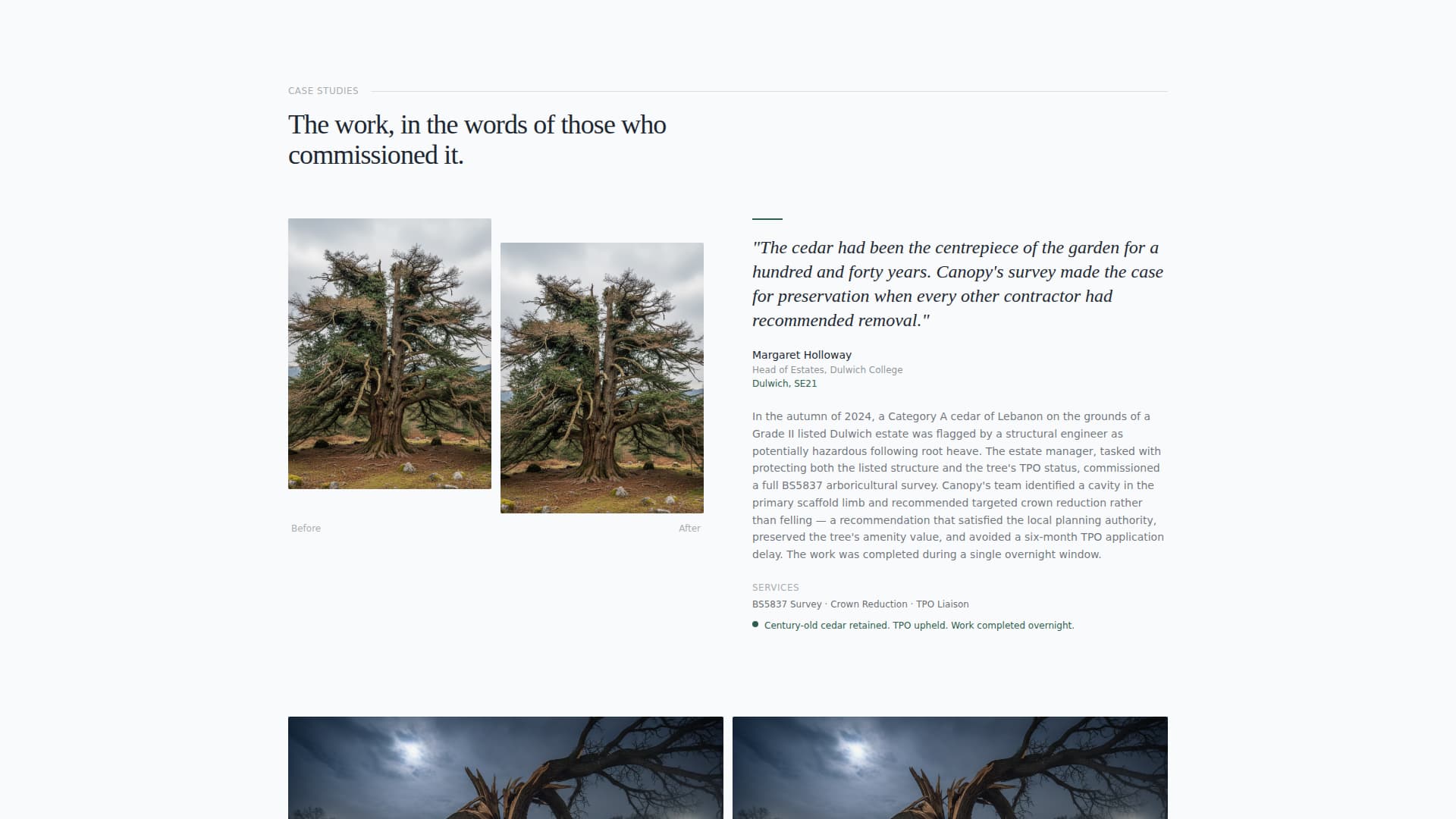 Canopy - Elite Arborist Landing Page Template