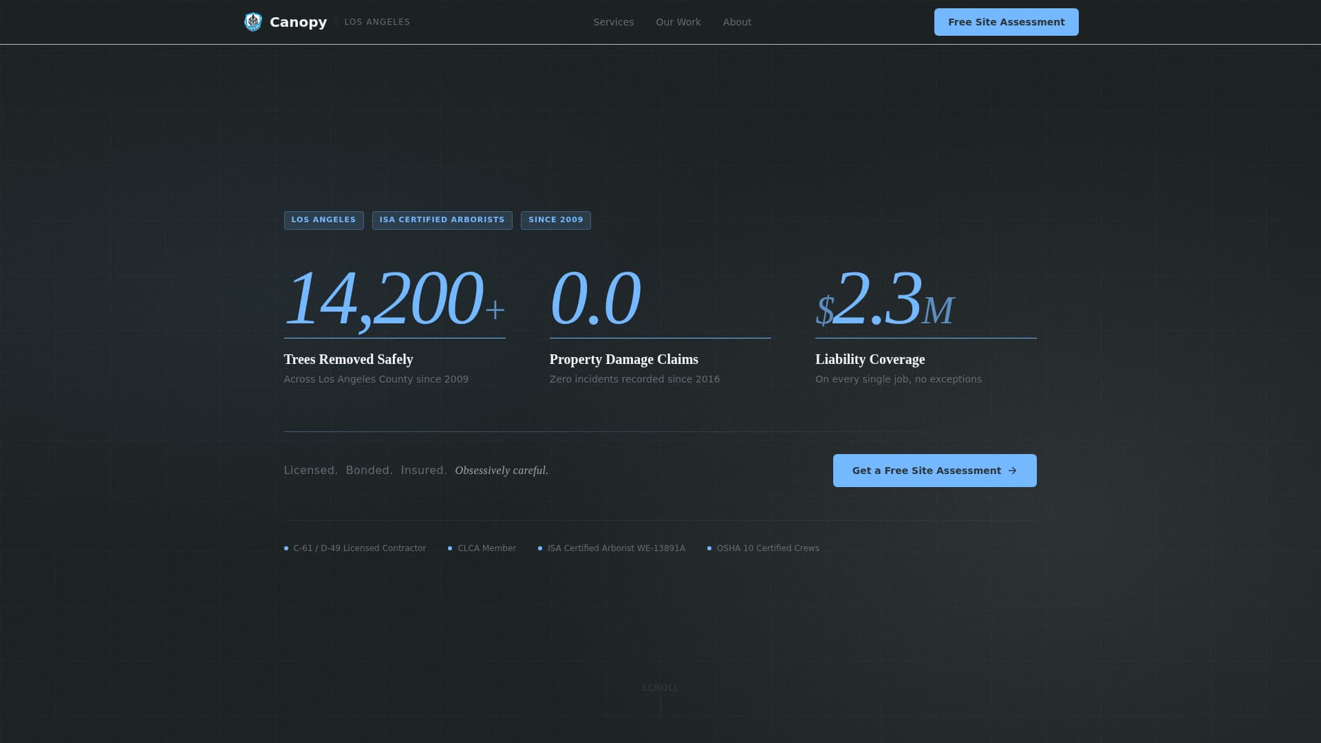 Timber — Certified Tree Care Landing Page Template