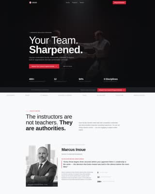 Martial Arts School Marketing Blog Website Template