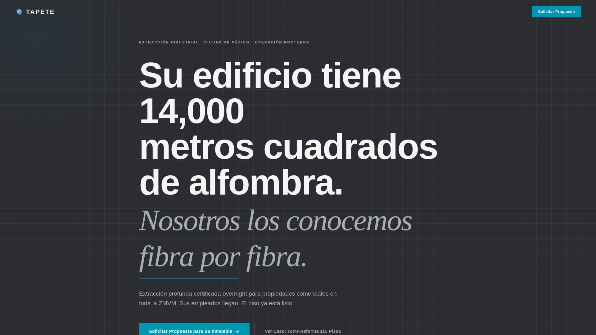 Tapete - Precision Carpet Landing Page Template