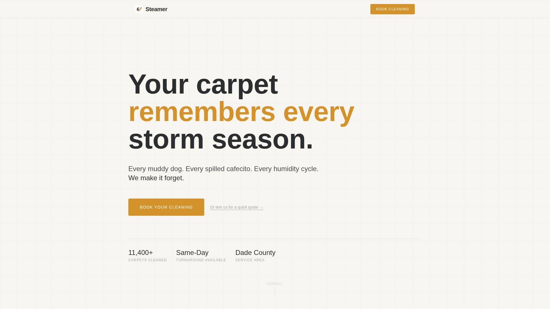 Steamer - Professional Carpetcleaning Landing Page Template