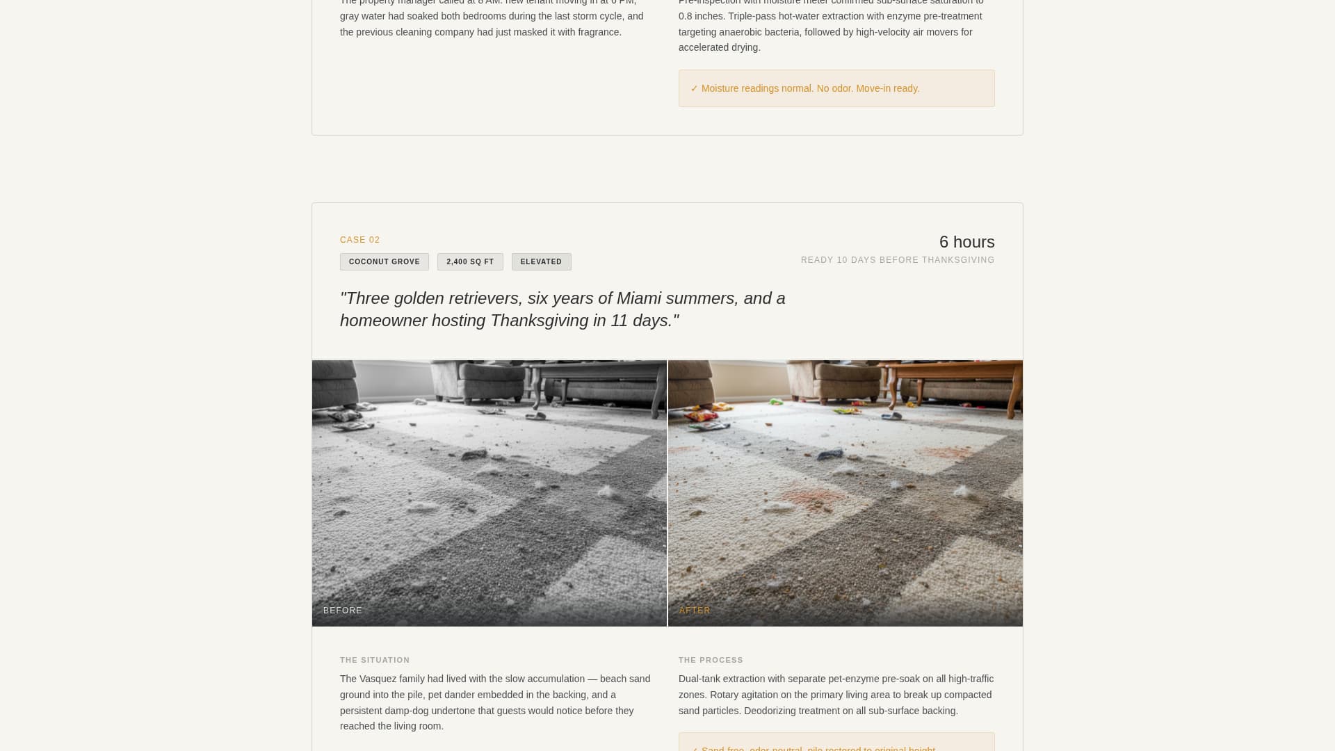 Steamer - Professional Carpetcleaning Landing Page Template