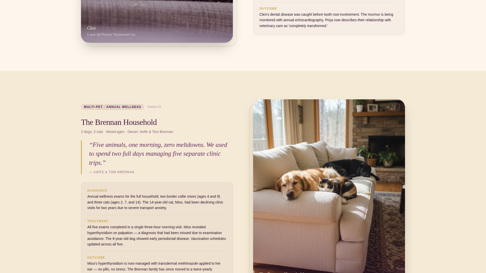 Housecall - Compassionate Mobilevet Landing Page Template