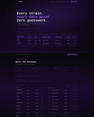 Cannabis Digital Presence Specialist Professional Website Template