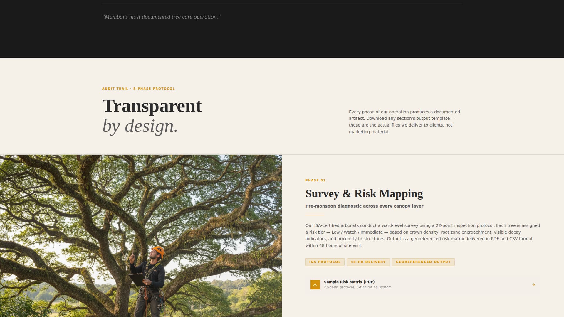 Canopy — Expert Tree Care Landing Page Template