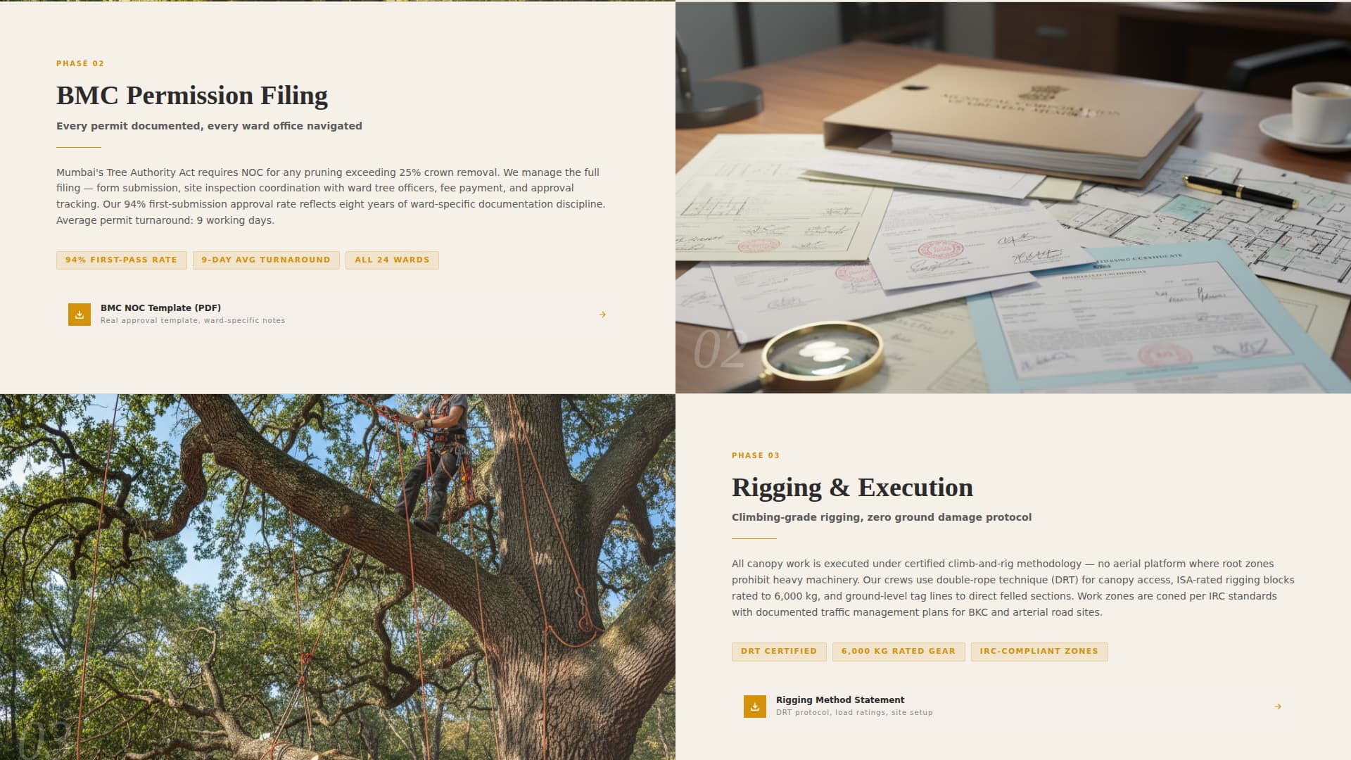 Canopy — Expert Tree Care Landing Page Template