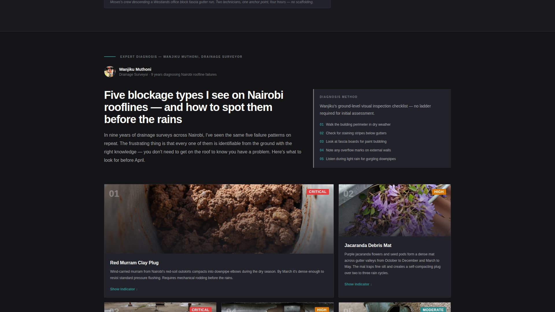 Downpipe - Authoritative Guttercleaning Landing Page Template