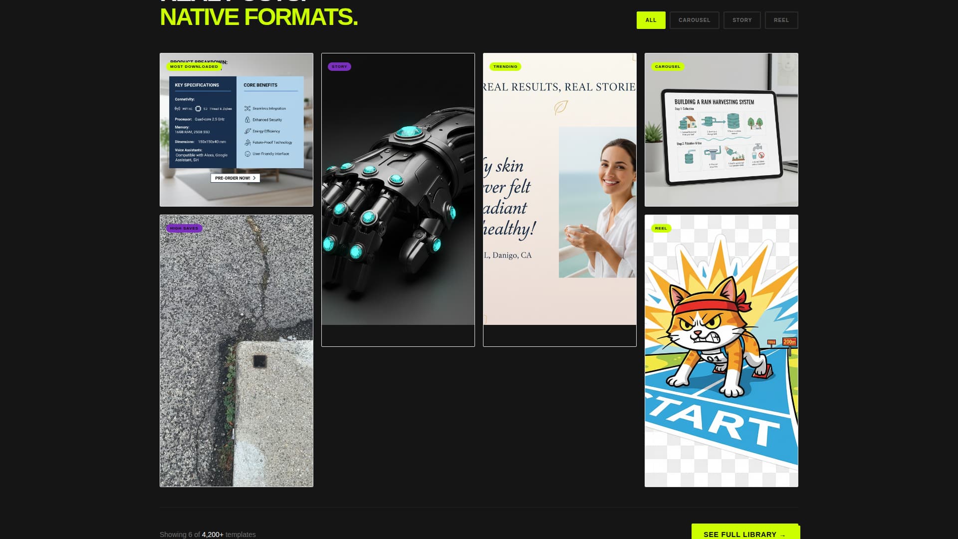 Adjust - Bold Chiropractic Landing Page Template