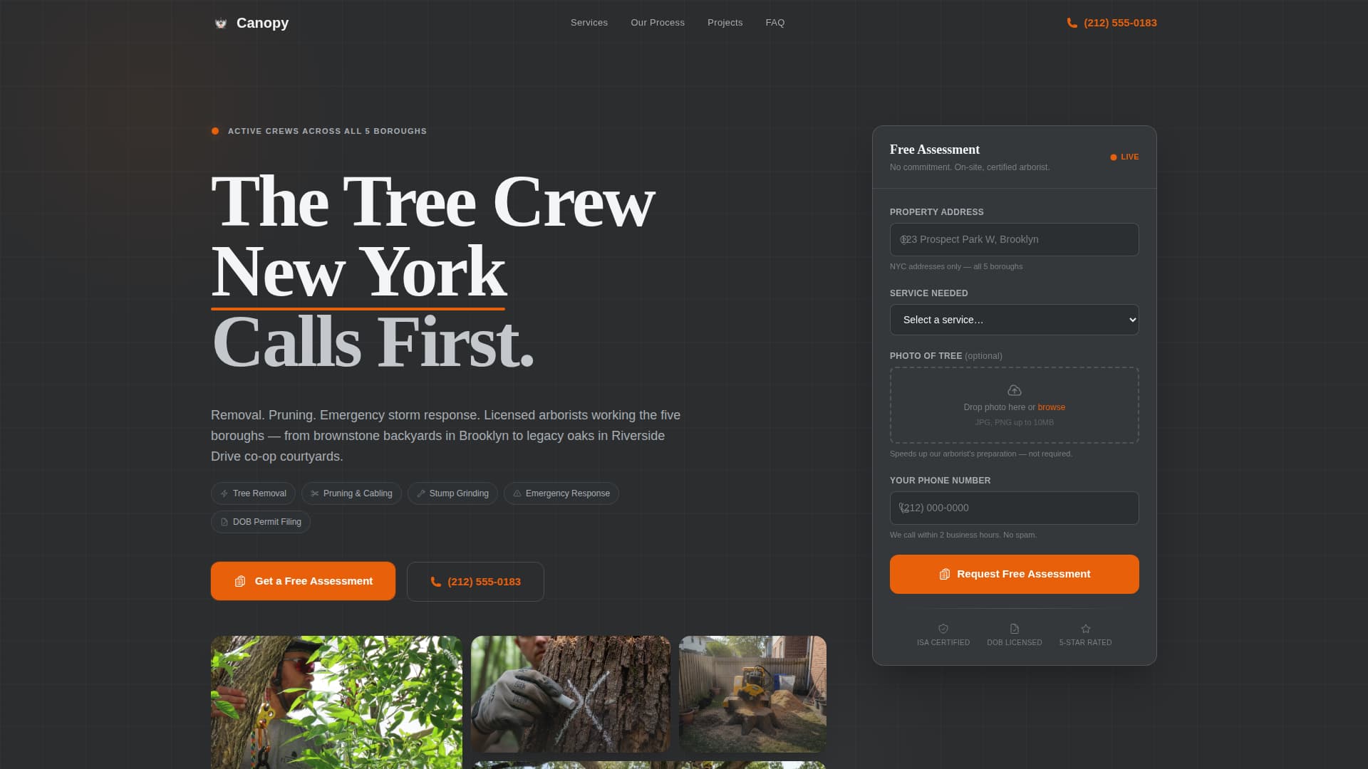 Canopy — Professional Forestry Management Landing Page Template