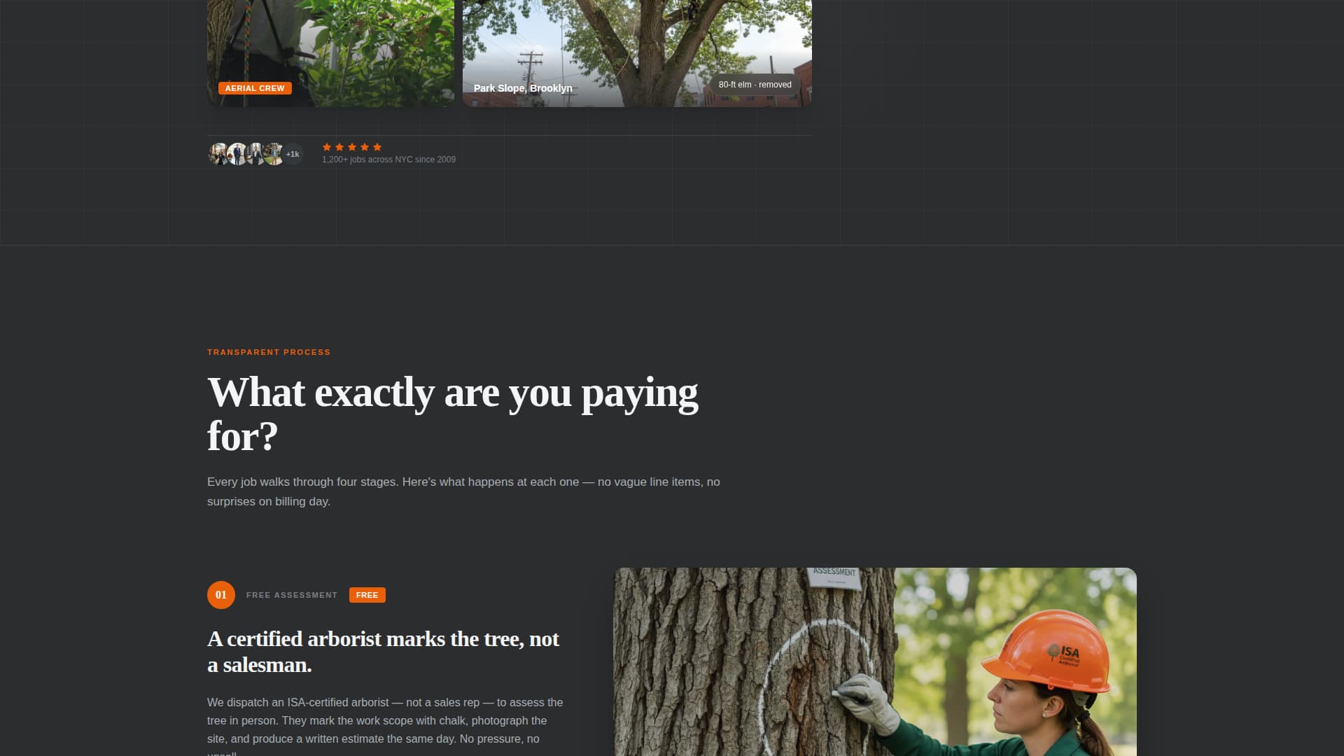 Canopy — Professional Forestry Management Landing Page Template