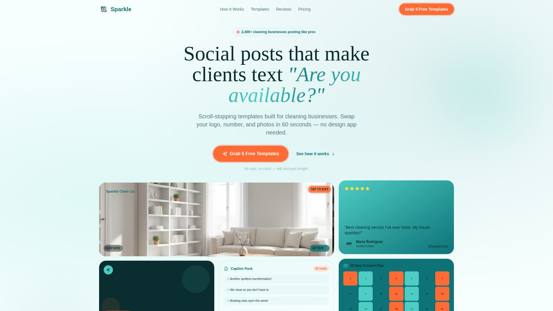 Cleaning Service Digital Presence Reviews Website Template