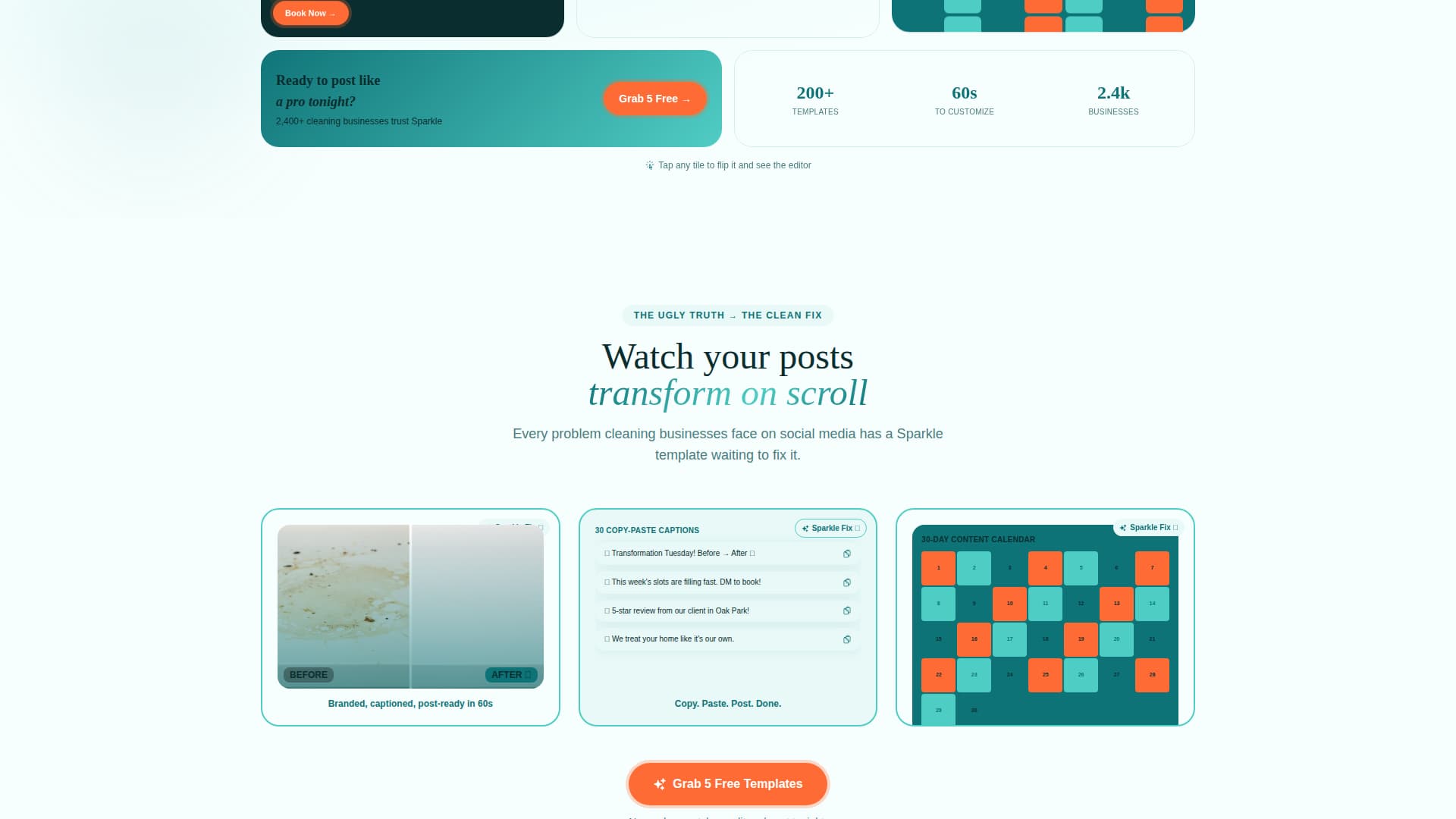 Cleaning Service Digital Presence Reviews Website Template