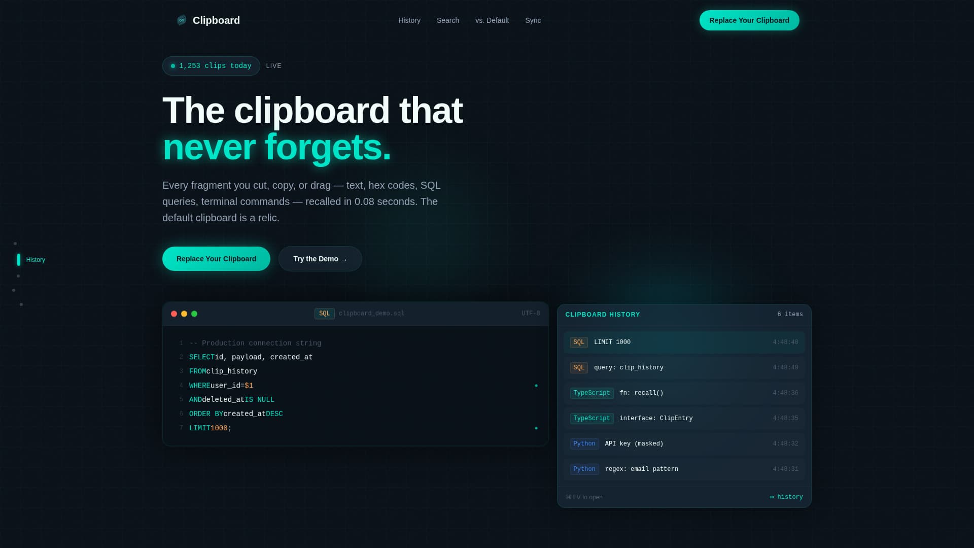 Micro-SaaS & Developer Tools Expert Professional Website Template