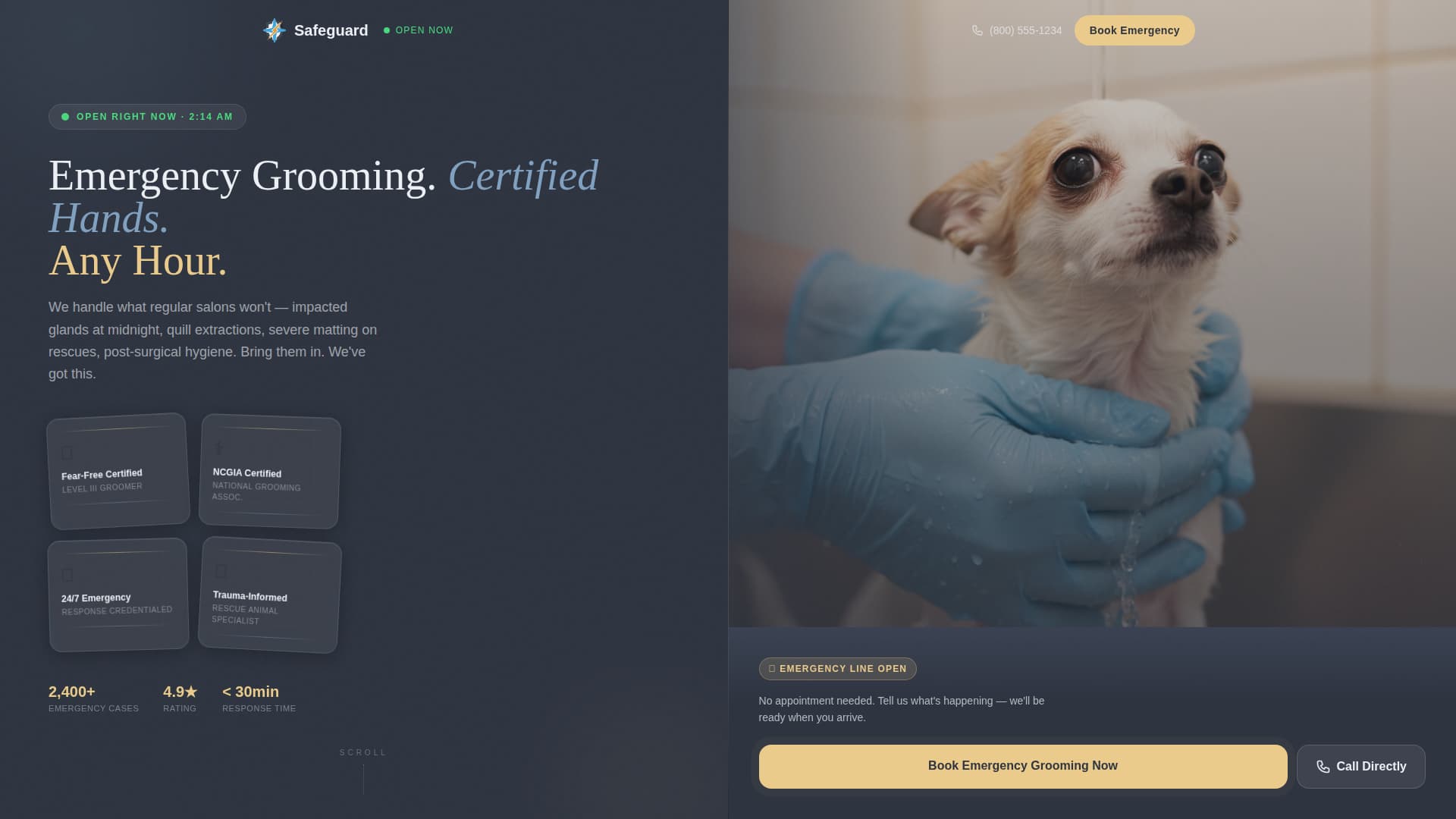 Safeguard - Emergency Petgrooming Landing Page Template