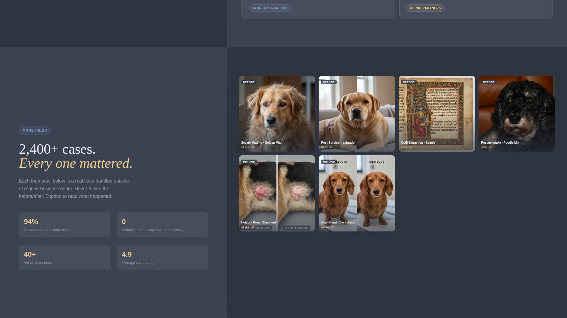 Safeguard - Emergency Petgrooming Landing Page Template