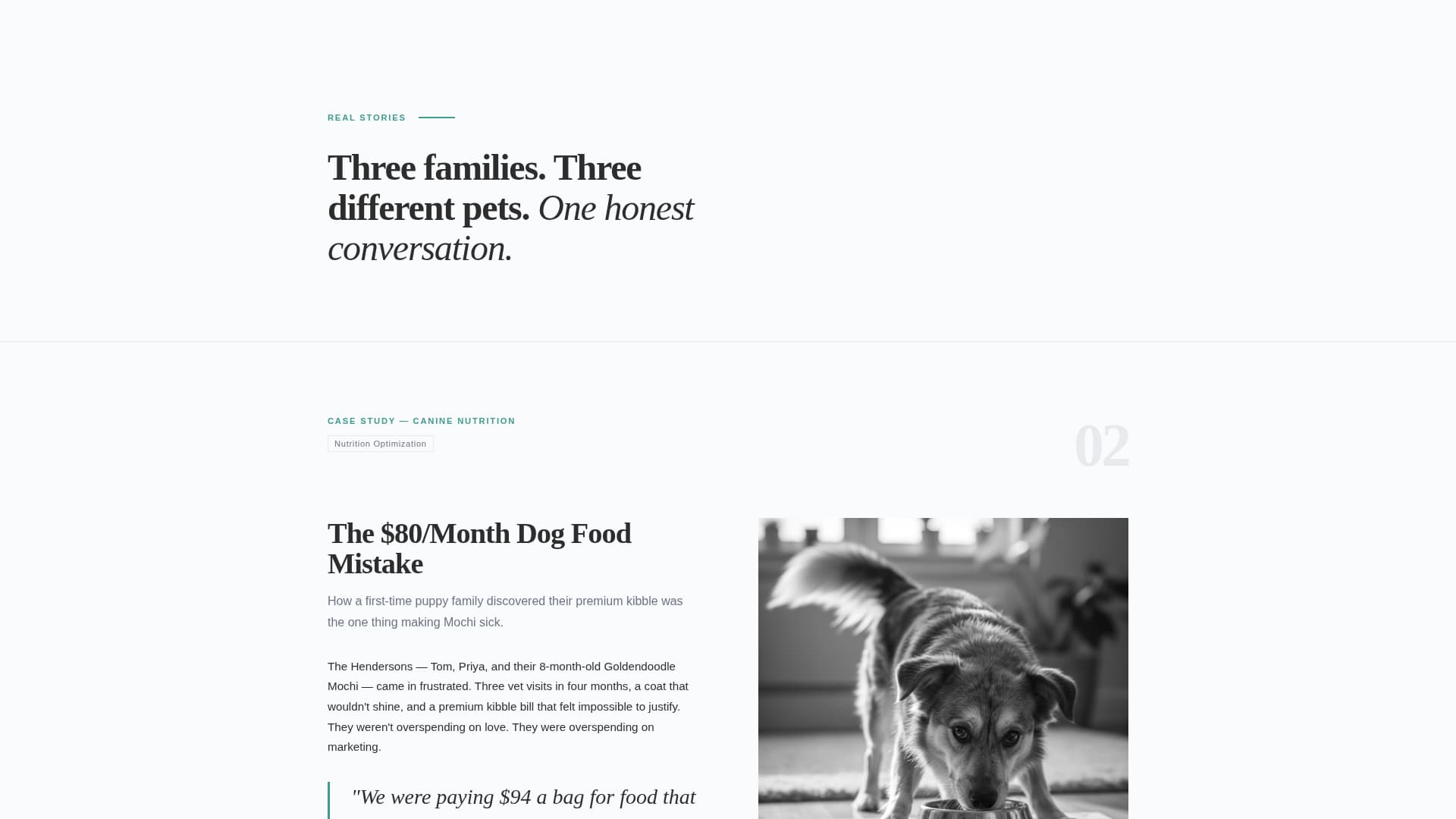 Fetch - Editorial Petstore Landing Page Template