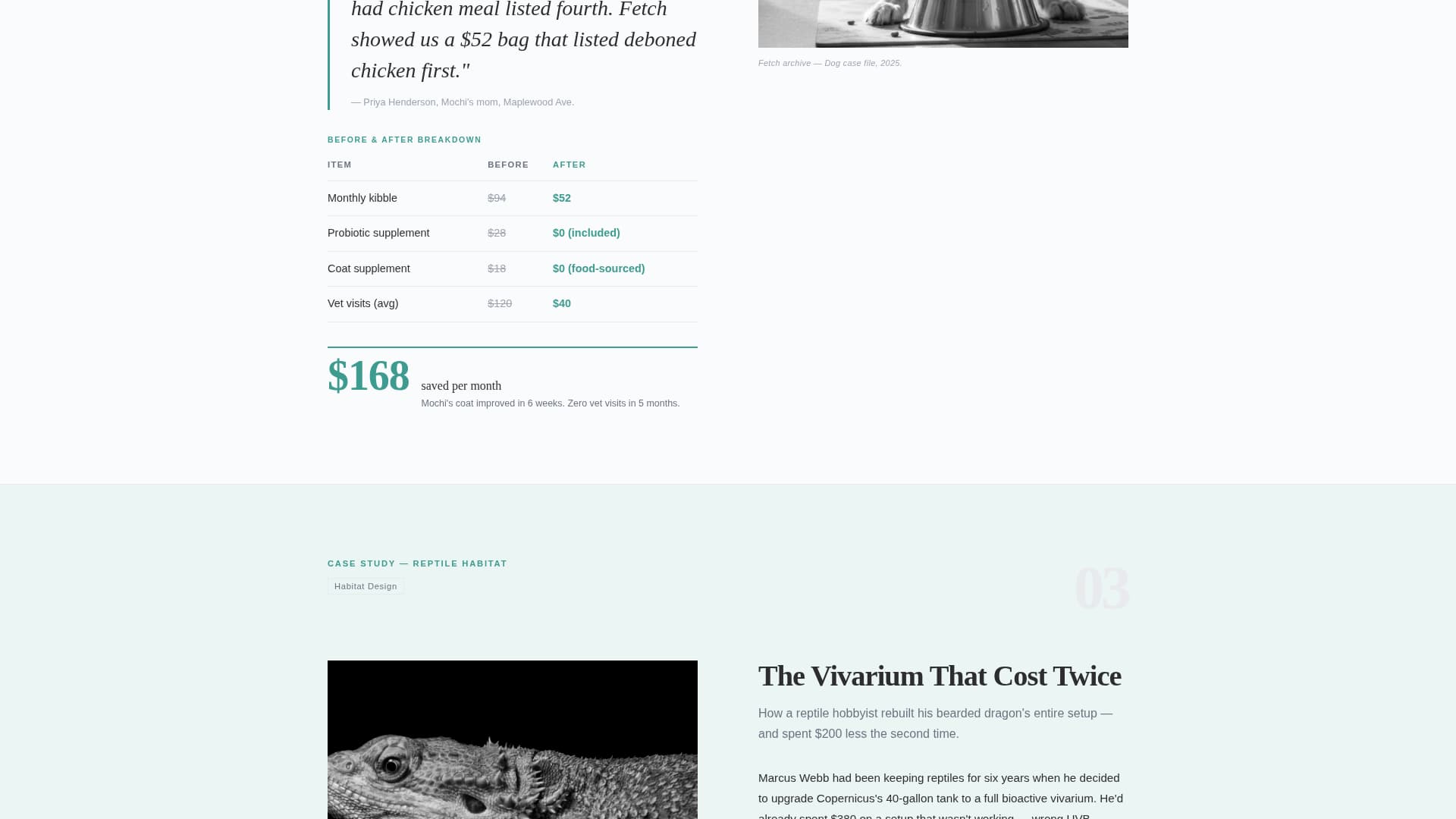 Fetch - Editorial Petstore Landing Page Template