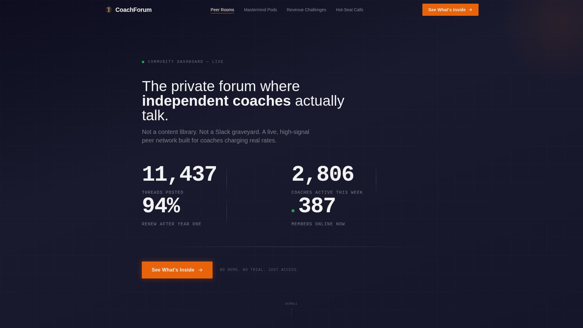 Coaching Digital Presence Professional Website Template