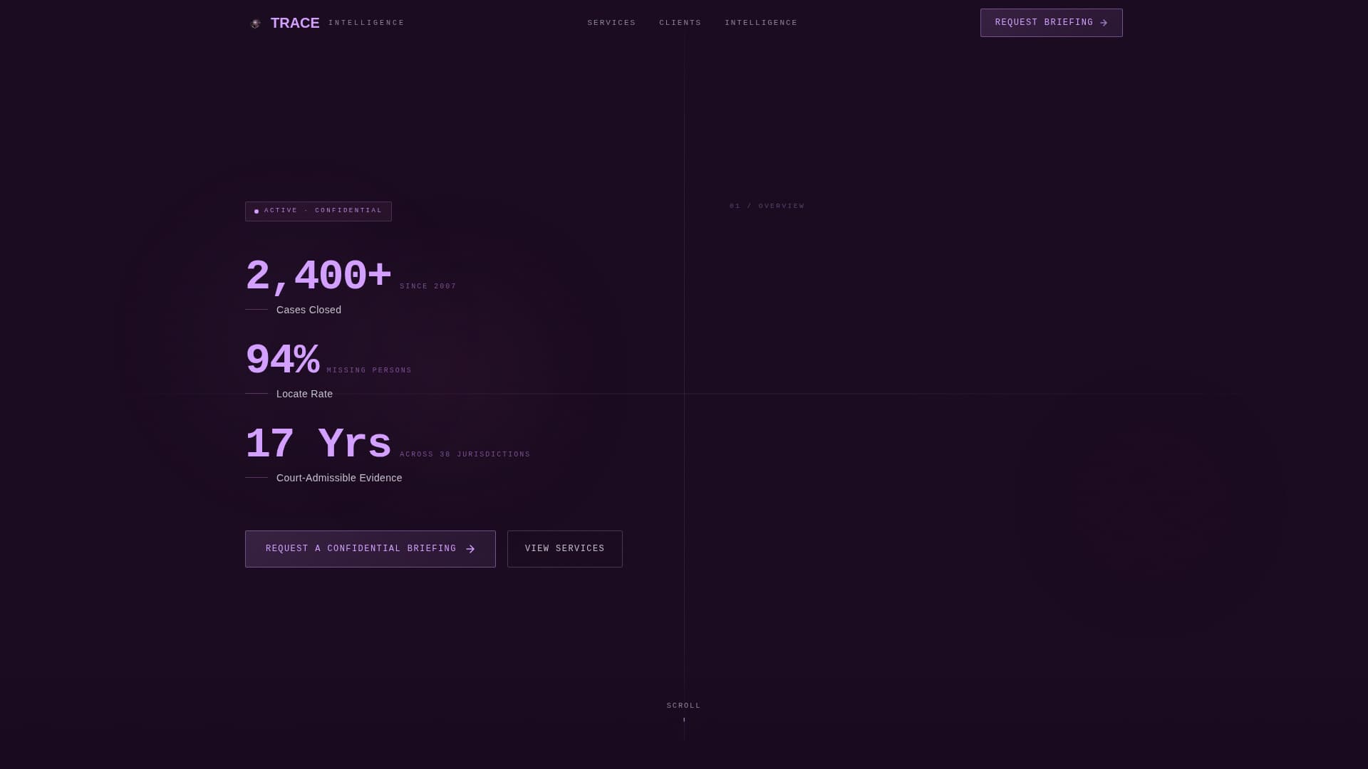 Insight — Professional Private Investigation Landing Page Template