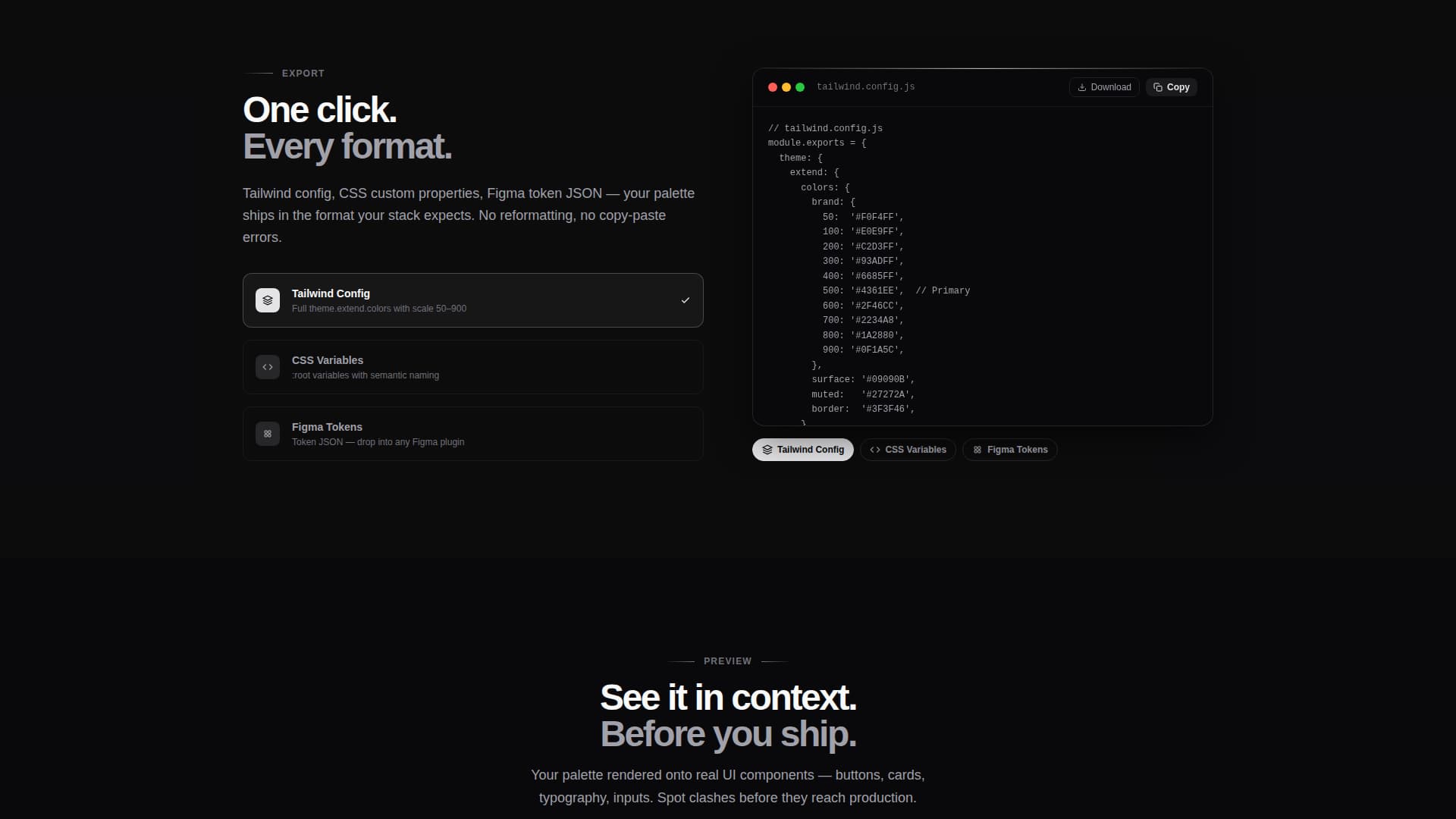 Micro-SaaS & Developer Tools Specialist Professional Website Template