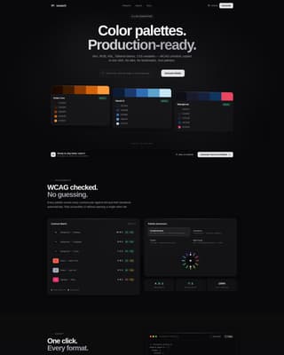 Micro-SaaS & Developer Tools Specialist Professional Website Template
