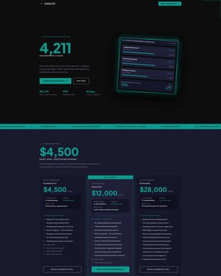 Consulting Firm Pricing Tiers & Engagement Packages Website Template
