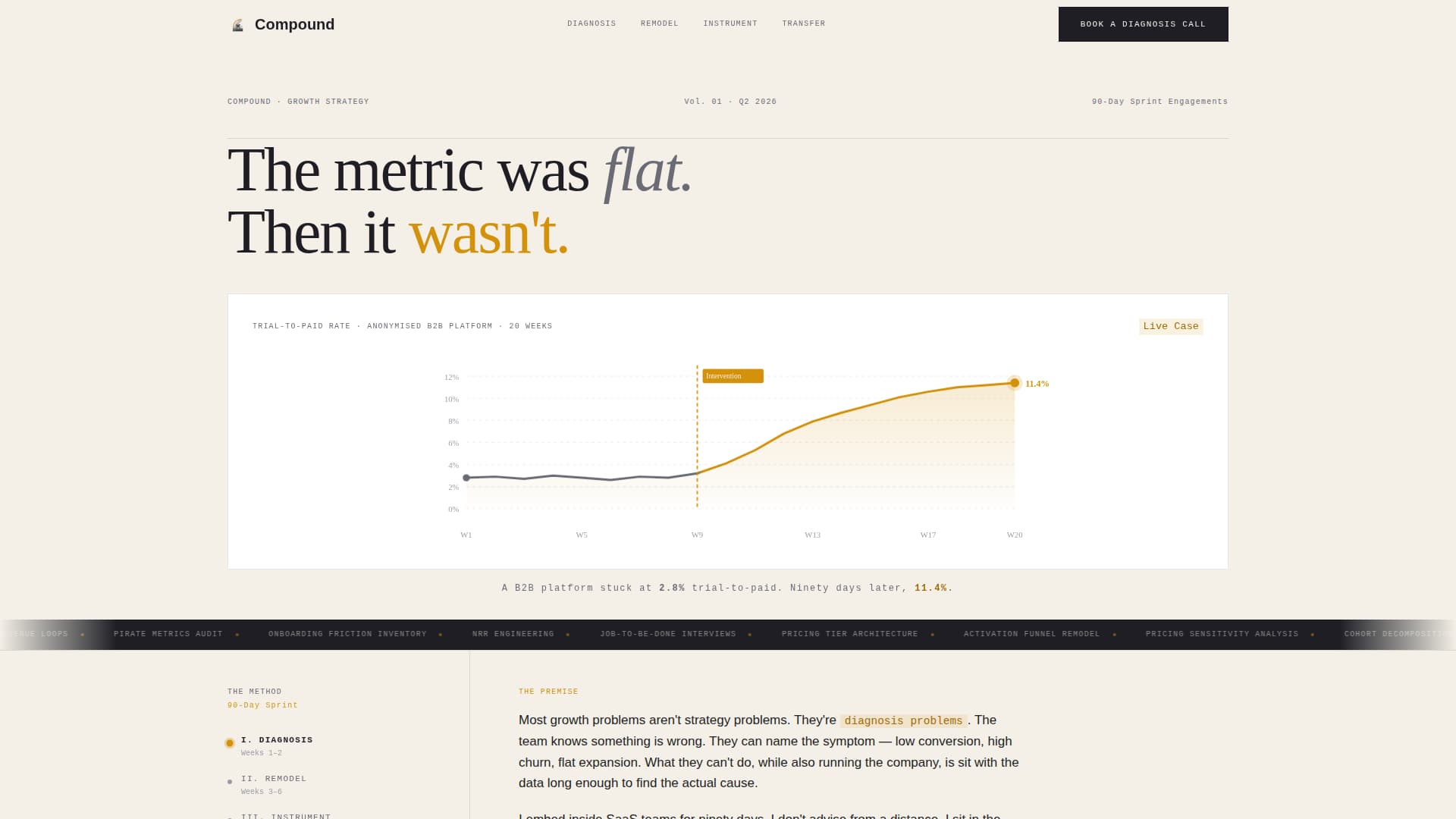 SaaS Consulting Portfolio Website Template