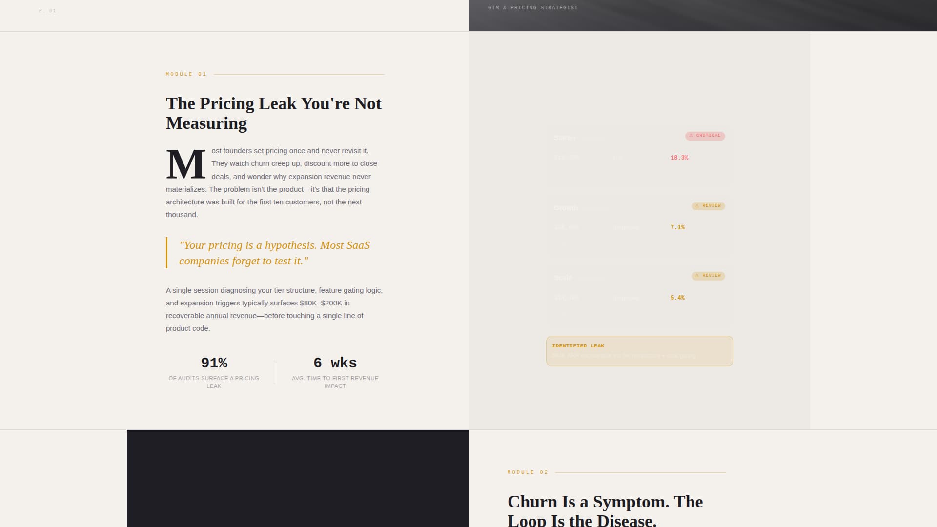 SaaS Consulting Booking Website Template