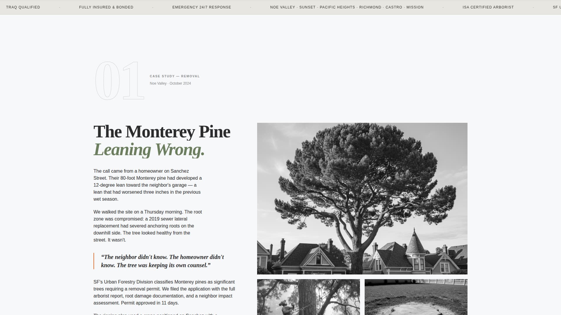 Canopy — Verified Forestry Contractor Landing Page Template