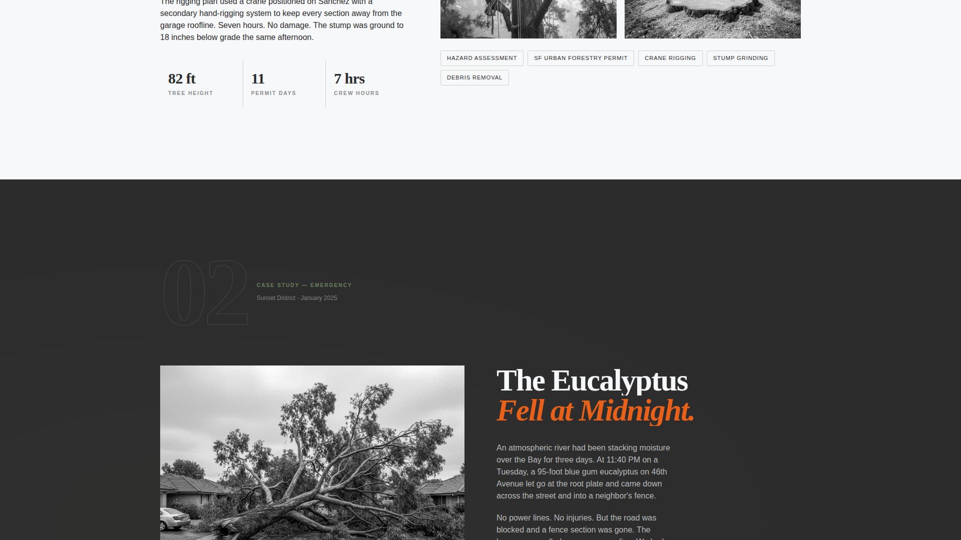 Canopy — Verified Forestry Contractor Landing Page Template