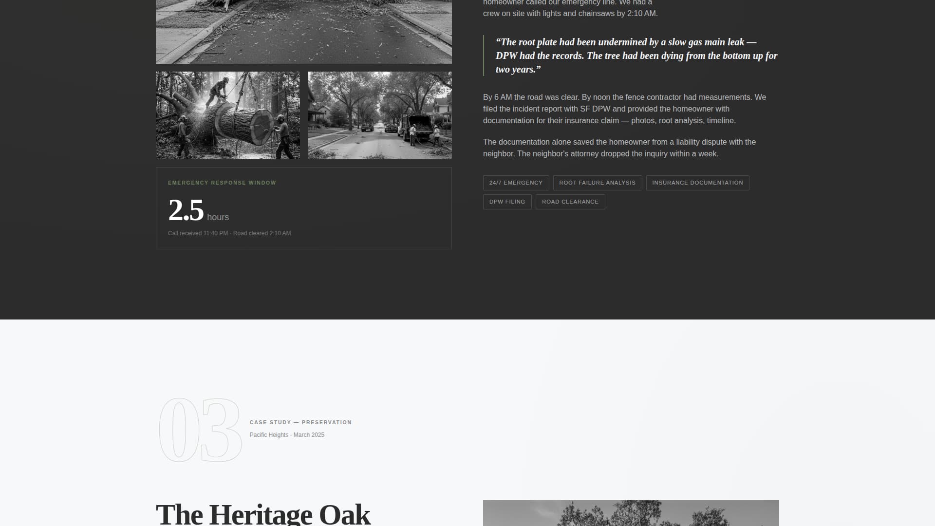 Canopy — Verified Forestry Contractor Landing Page Template