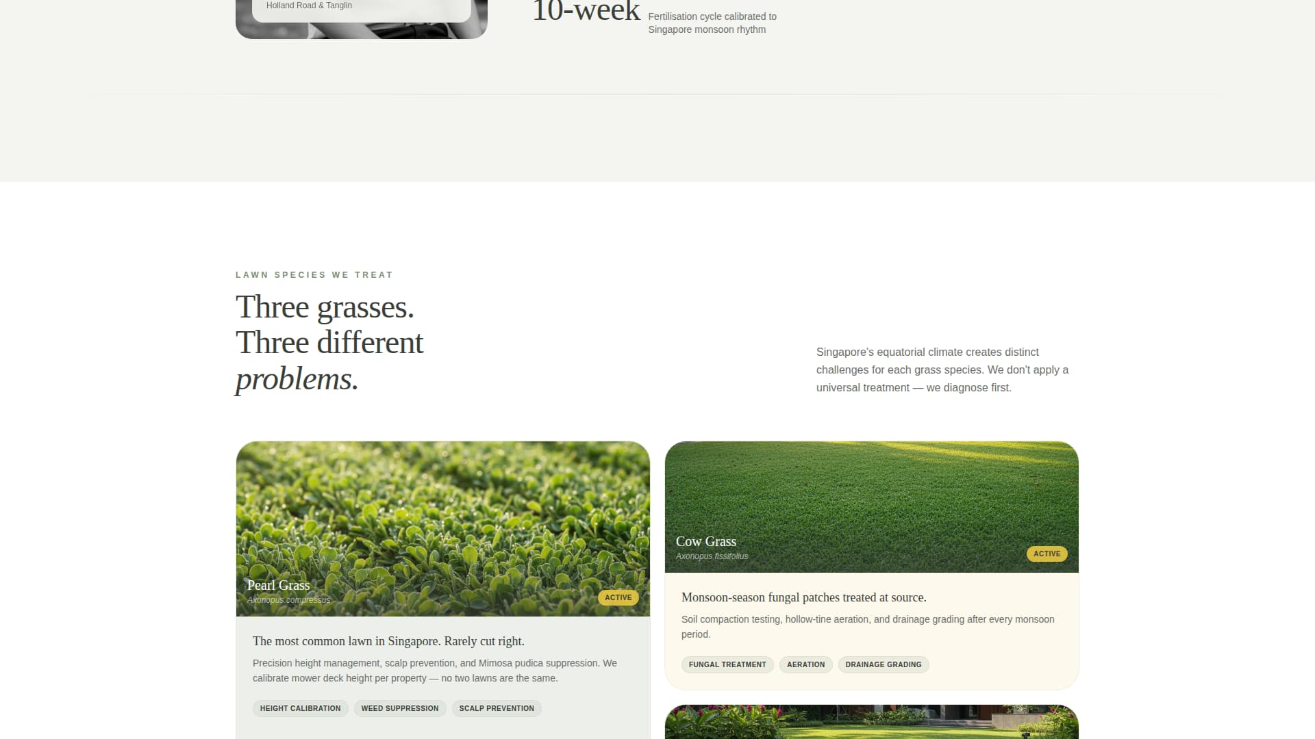 Singapore Local Booking Website Template