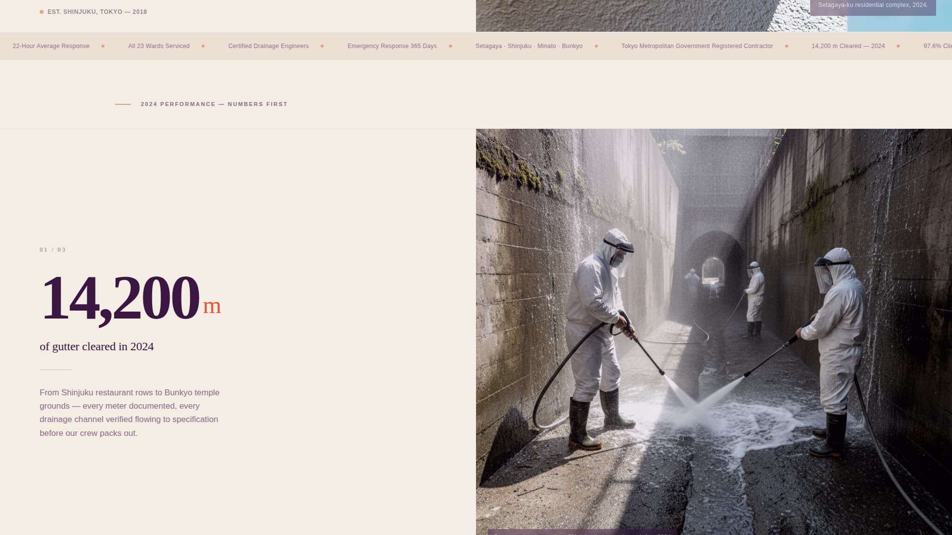 Toi - Authoritative Drainage Landing Page Template