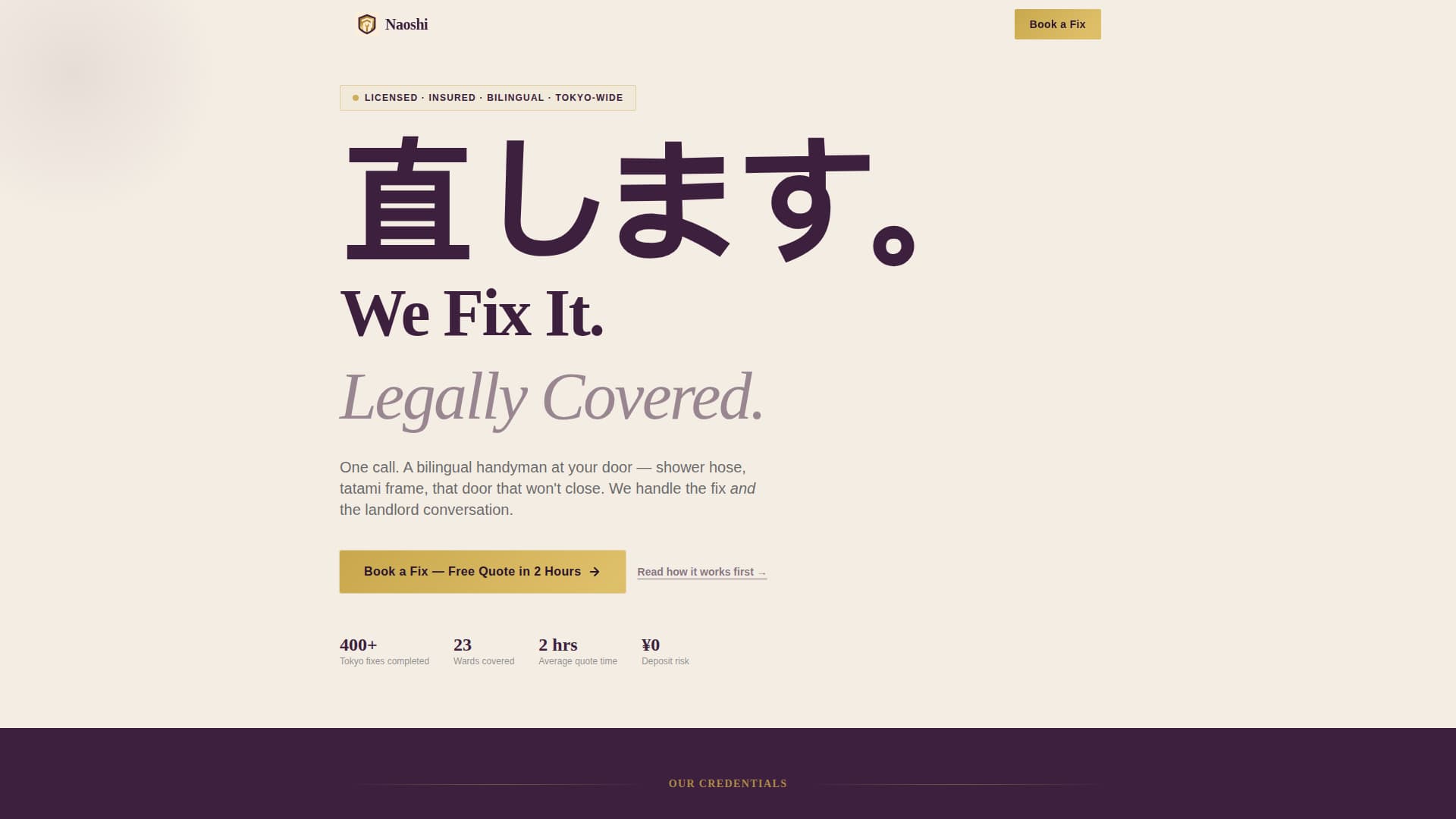 Naoshi - Authoritative Handyman Landing Page Template