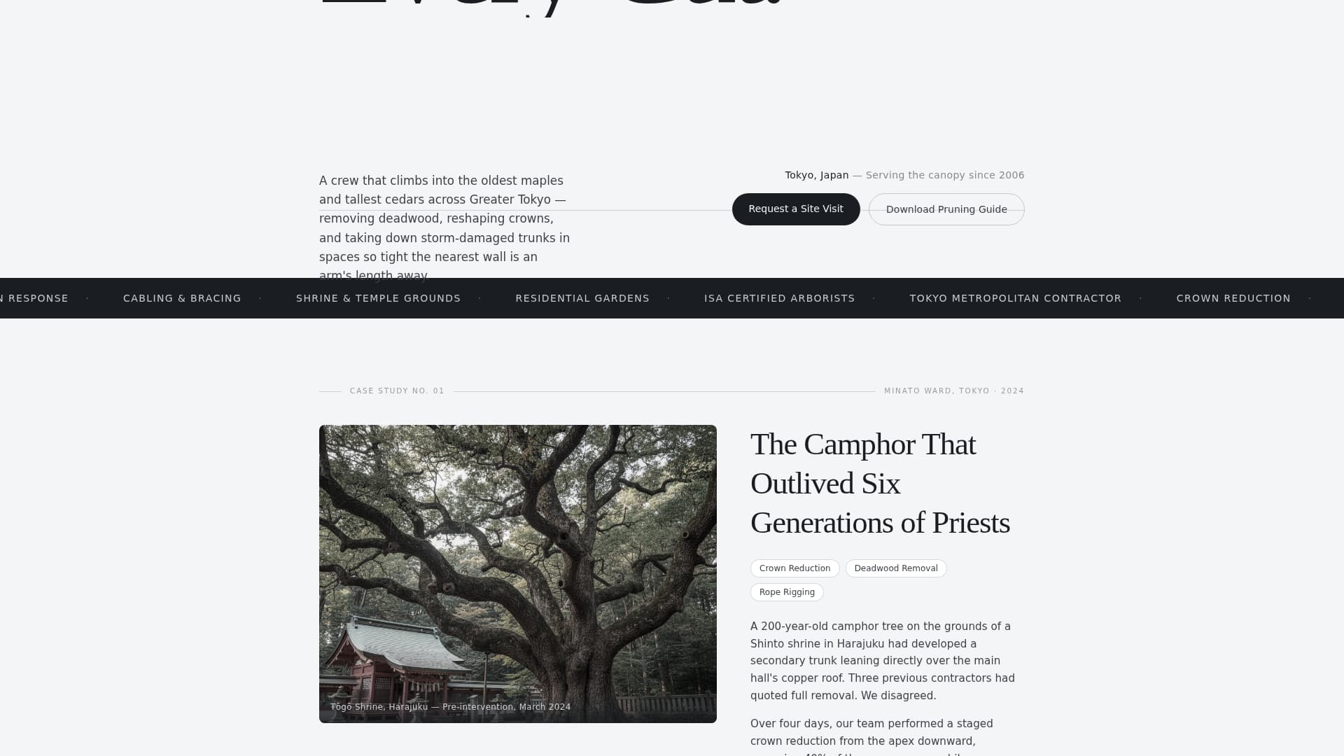 Canopy — Proven Woodland Management Landing Page Template