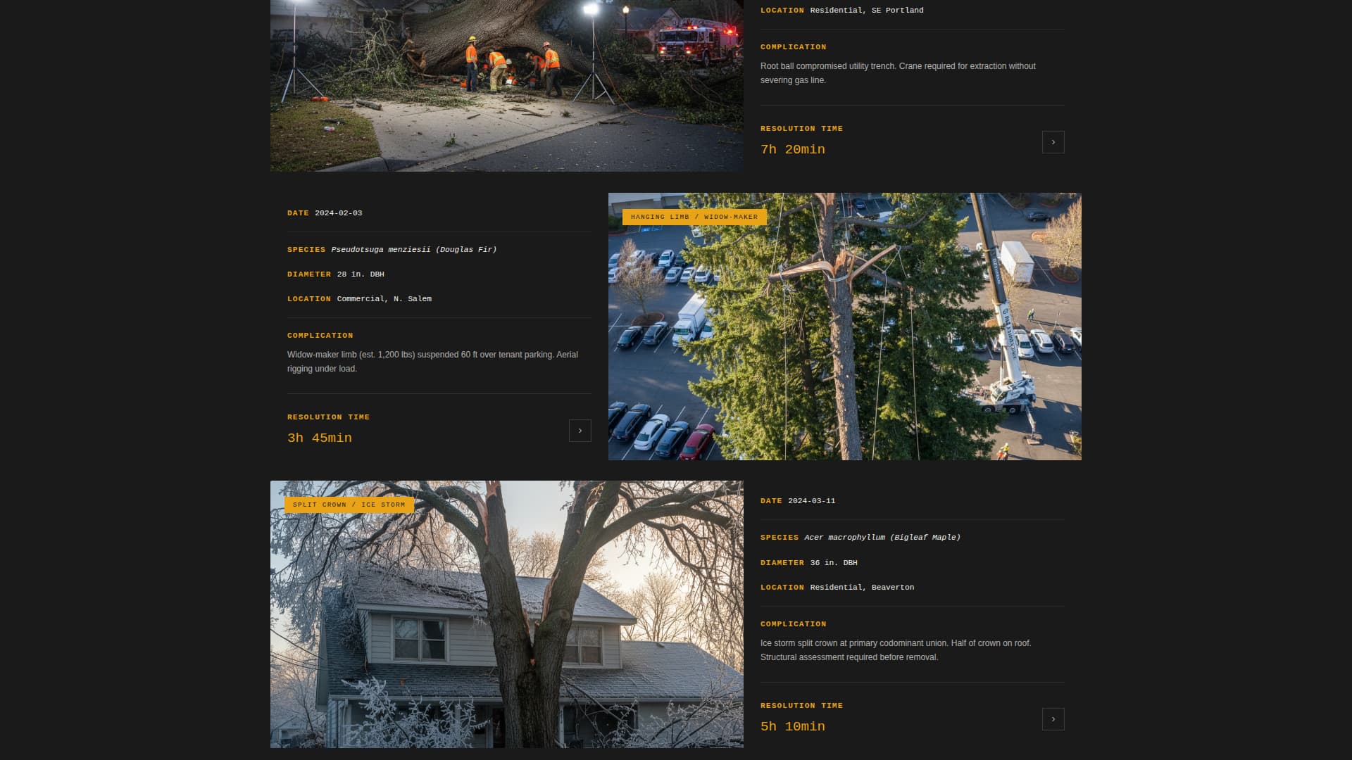 Tree Service Marketing Professional Website Template