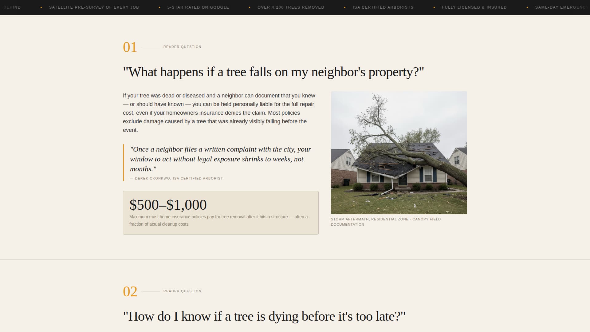 Canopy — Showcase Arborist Portfolio Landing Page Template