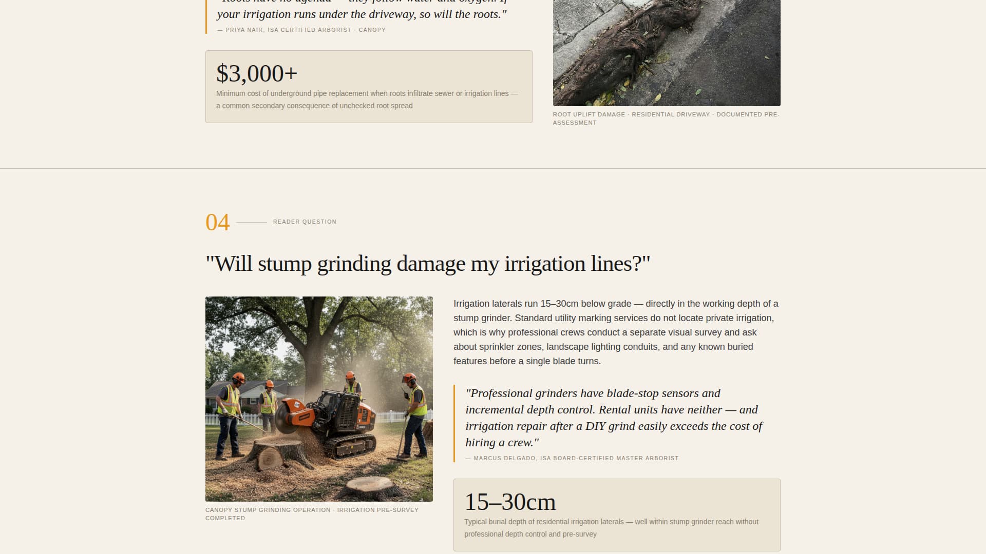 Canopy — Showcase Arborist Portfolio Landing Page Template