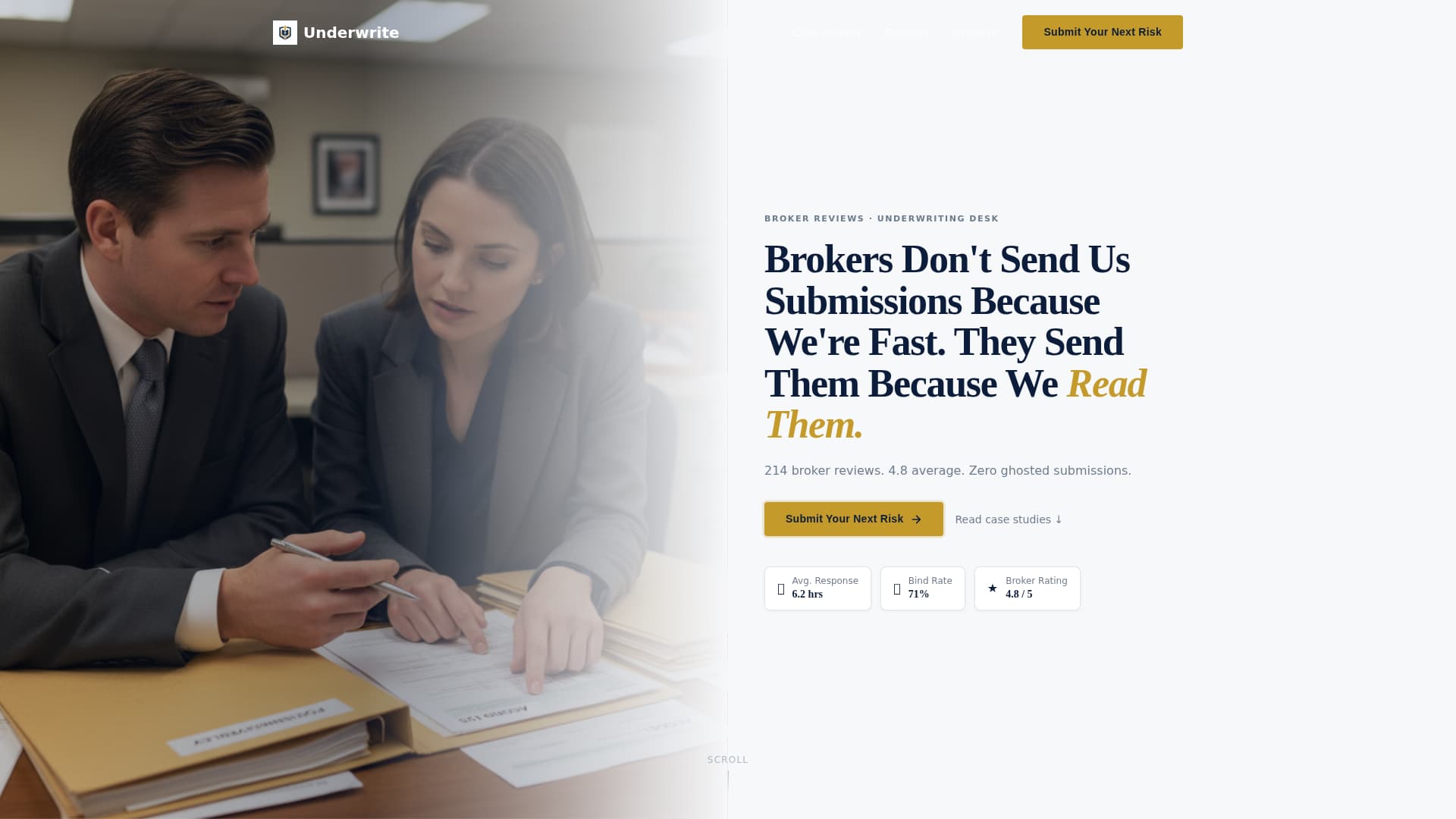Underwriter Reviews Website Template