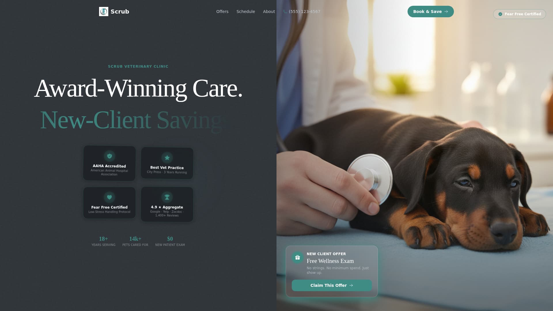 Veterinary Clinic Marketing Specialist Booking Website Template