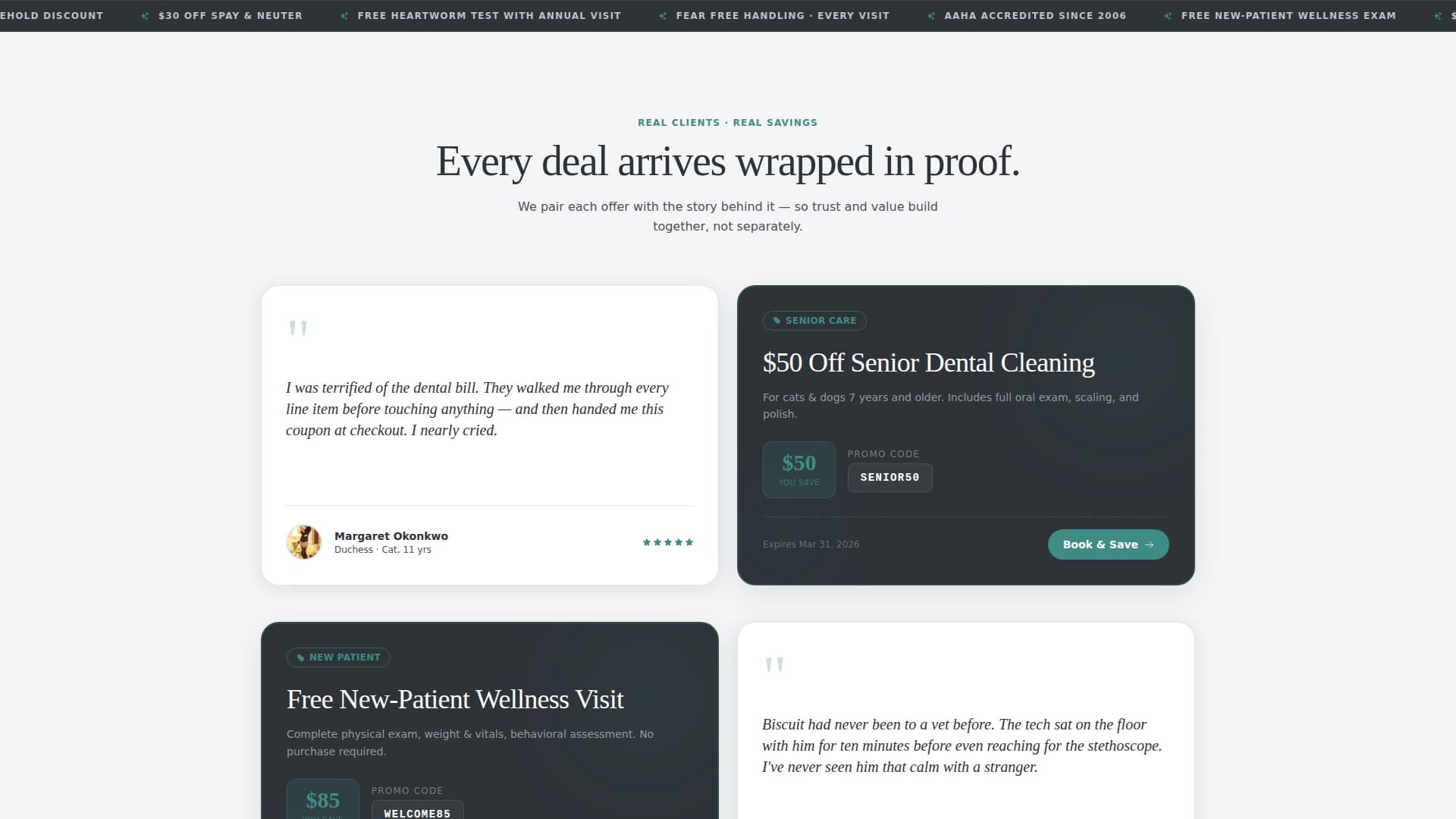 Veterinary Clinic Marketing Specialist Booking Website Template