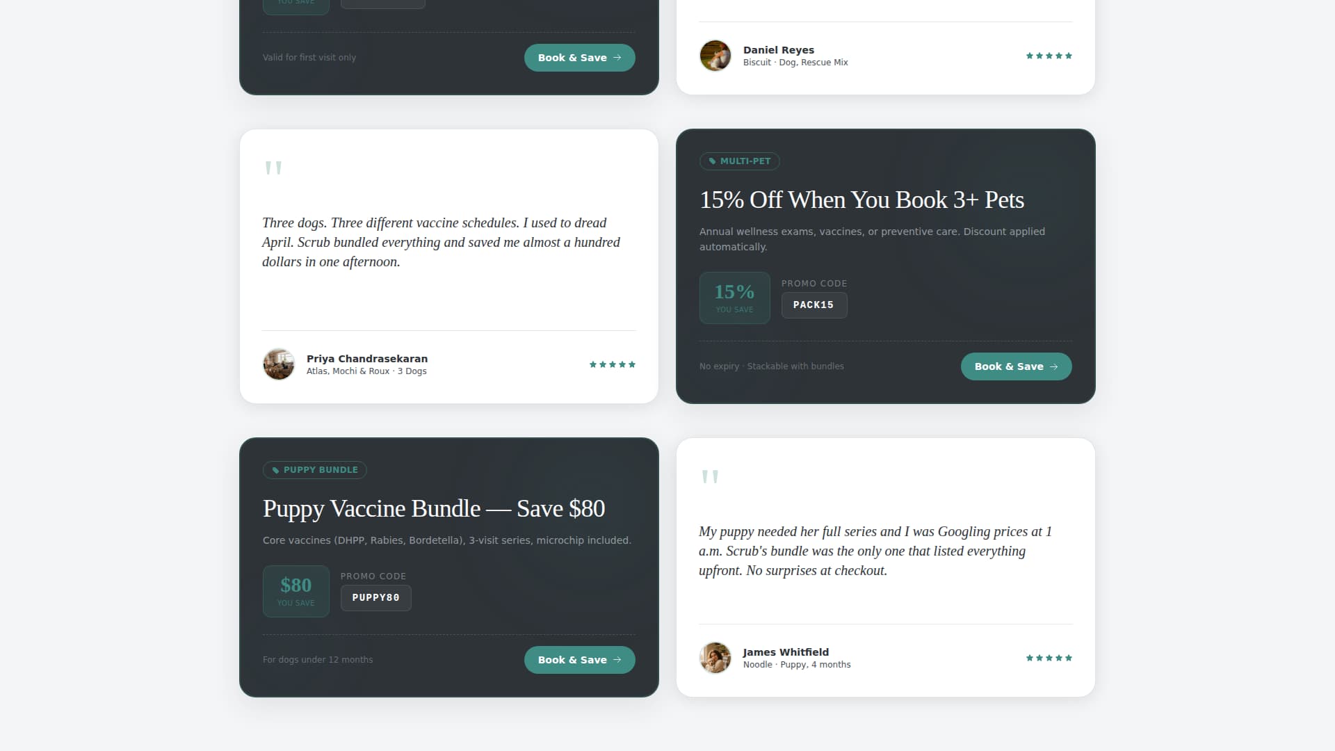 Veterinary Clinic Marketing Specialist Booking Website Template