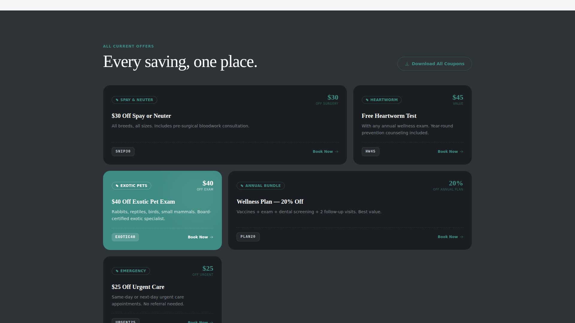 Veterinary Clinic Marketing Specialist Booking Website Template