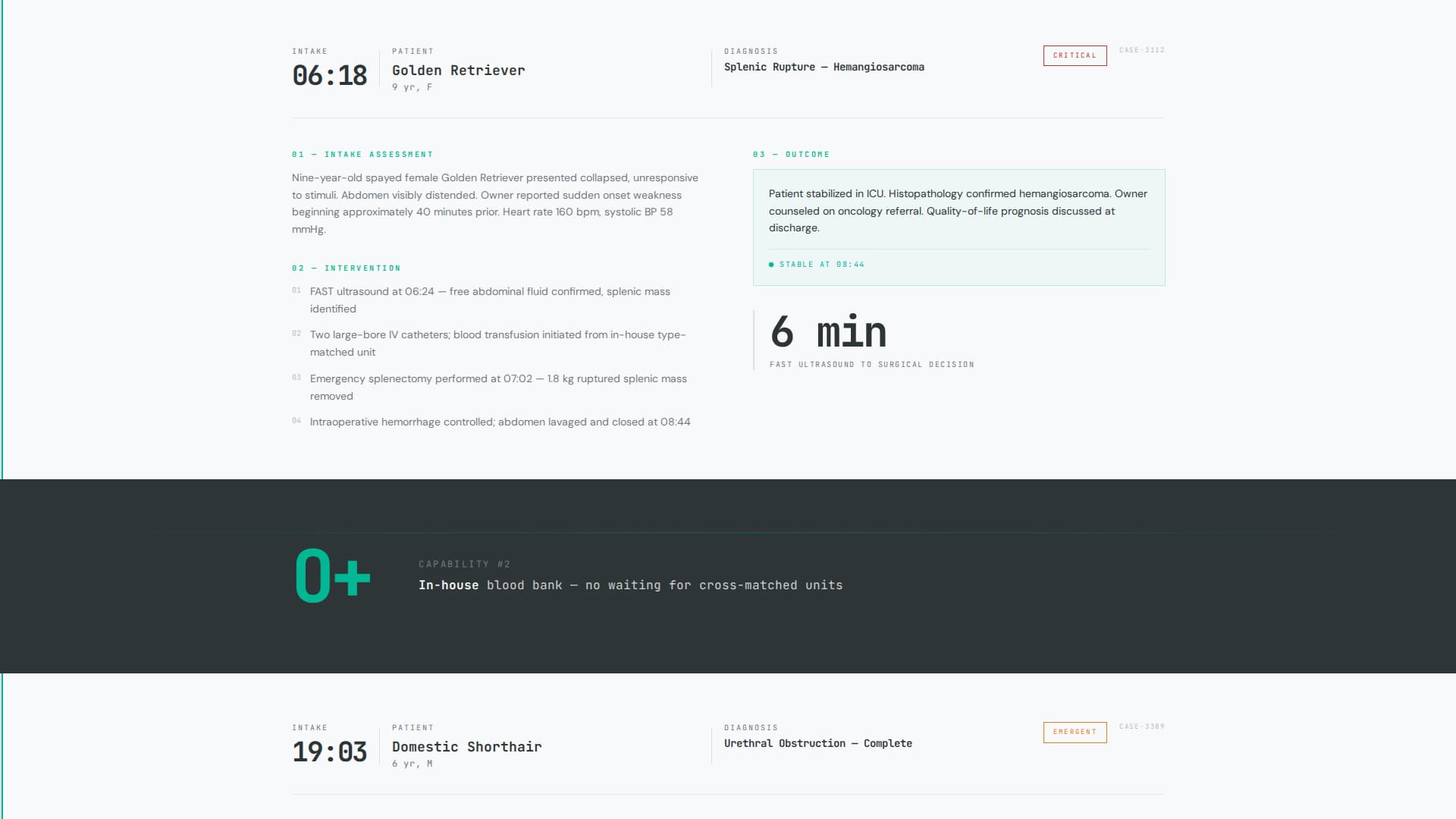 Veterinary Clinic Marketing Professional Website Template