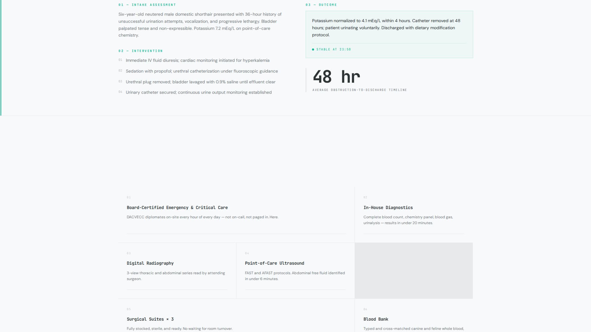 Veterinary Clinic Marketing Professional Website Template