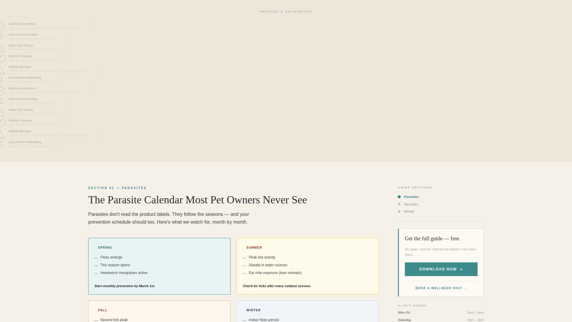 Veterinary Clinic Marketing Education Website Template