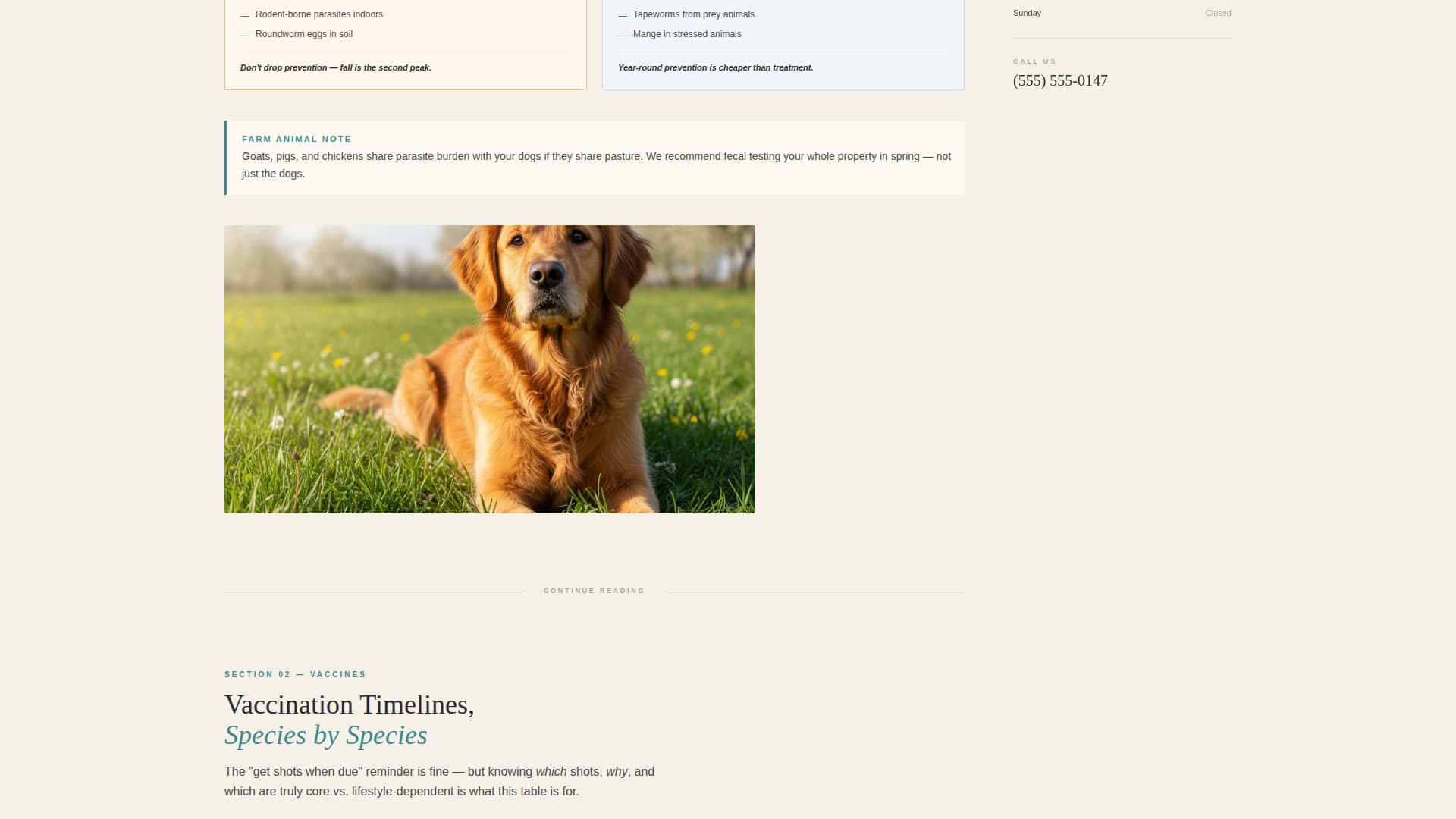 Veterinary Clinic Marketing Education Website Template