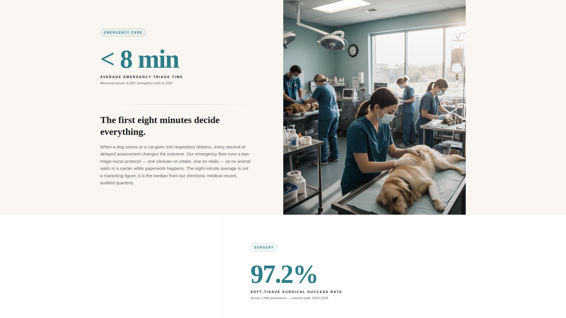 Triage — Certified Veterinary Care Landing Page Template