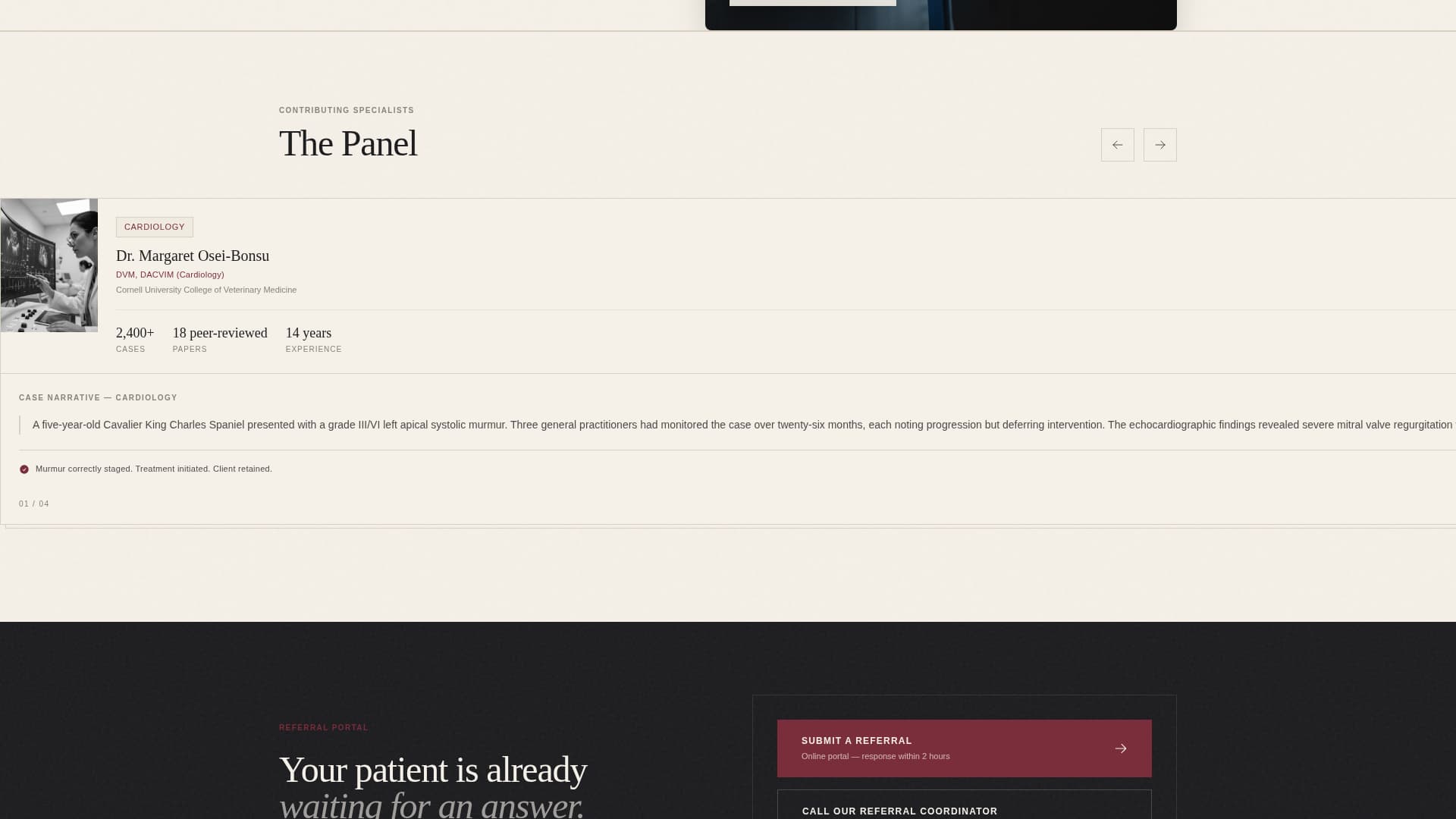 Veterinary Clinic Marketing Blog Website Template